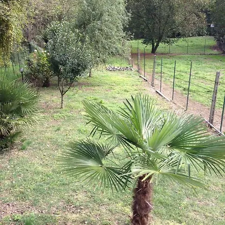 La Libellula Bed & Breakfast