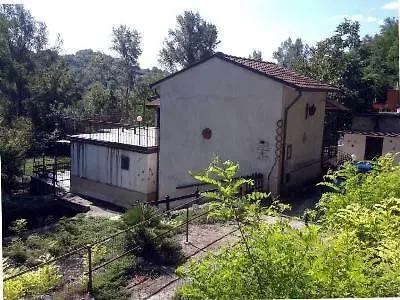 La Libellula *
