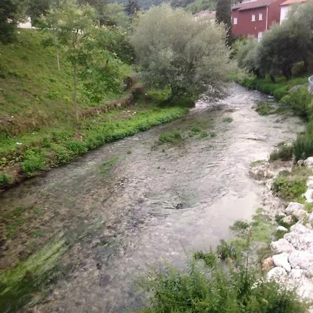 La Libellula