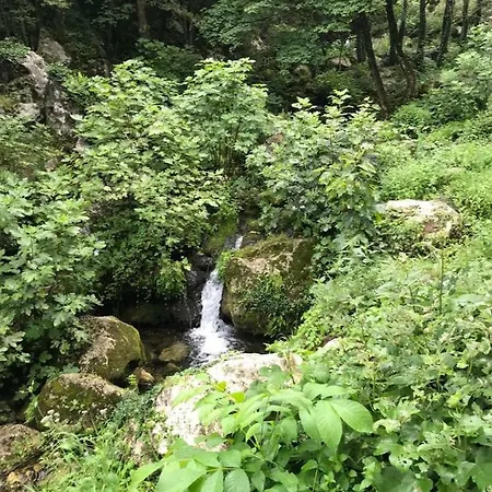 La Libellula Frühstückspension 3*