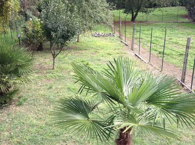 La Libellula Bed & Breakfast