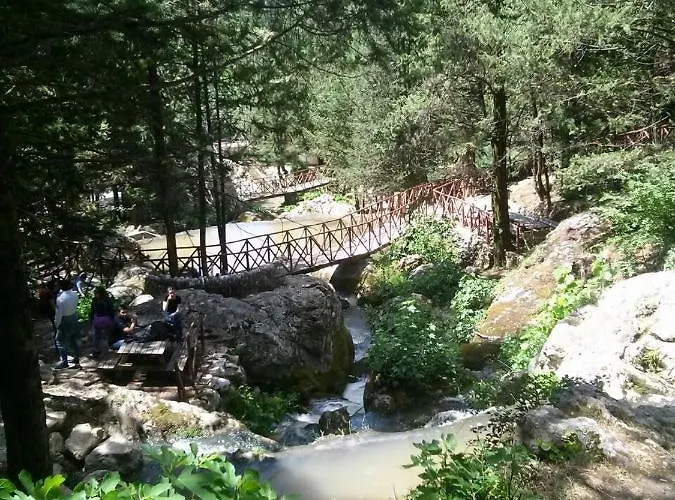 La Libellula Bed & Breakfast Pratella