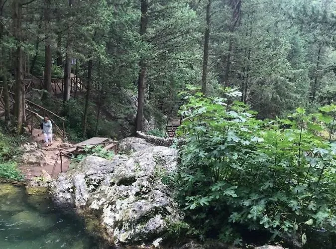 La Libellula Bed & Breakfast 3*