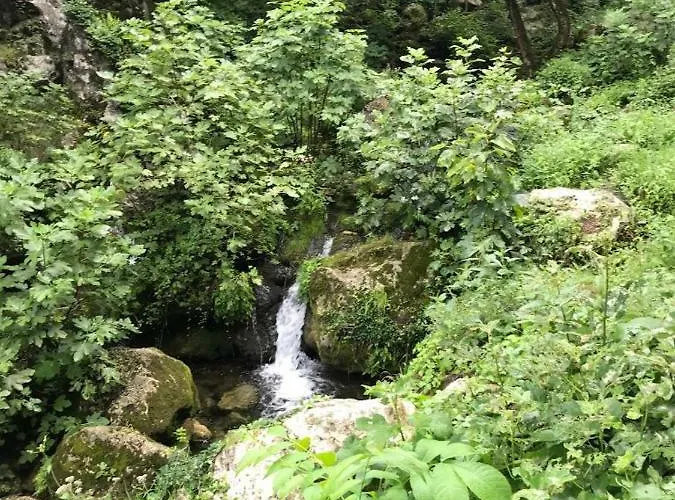 La Libellula Bed & Breakfast 3*