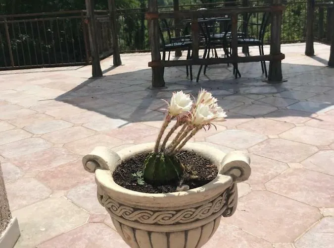 Bed & Breakfast La Libellula