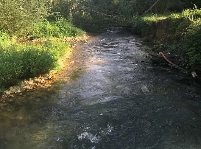 La Libellula Pratella